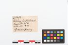 Etikett zu Golddrahtring (NHMW-PRAE-025483)